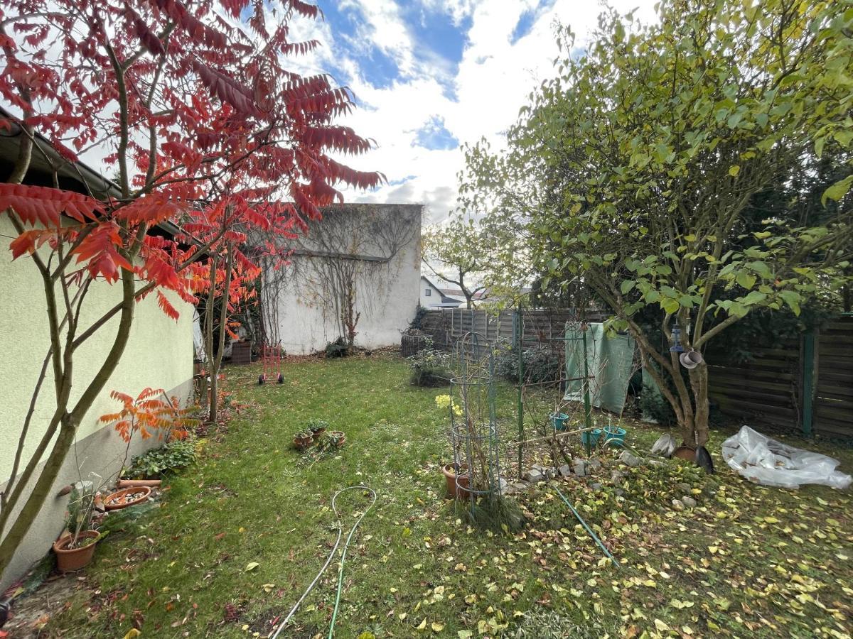 Das Gruene Haus Finsterwalde Exterior foto